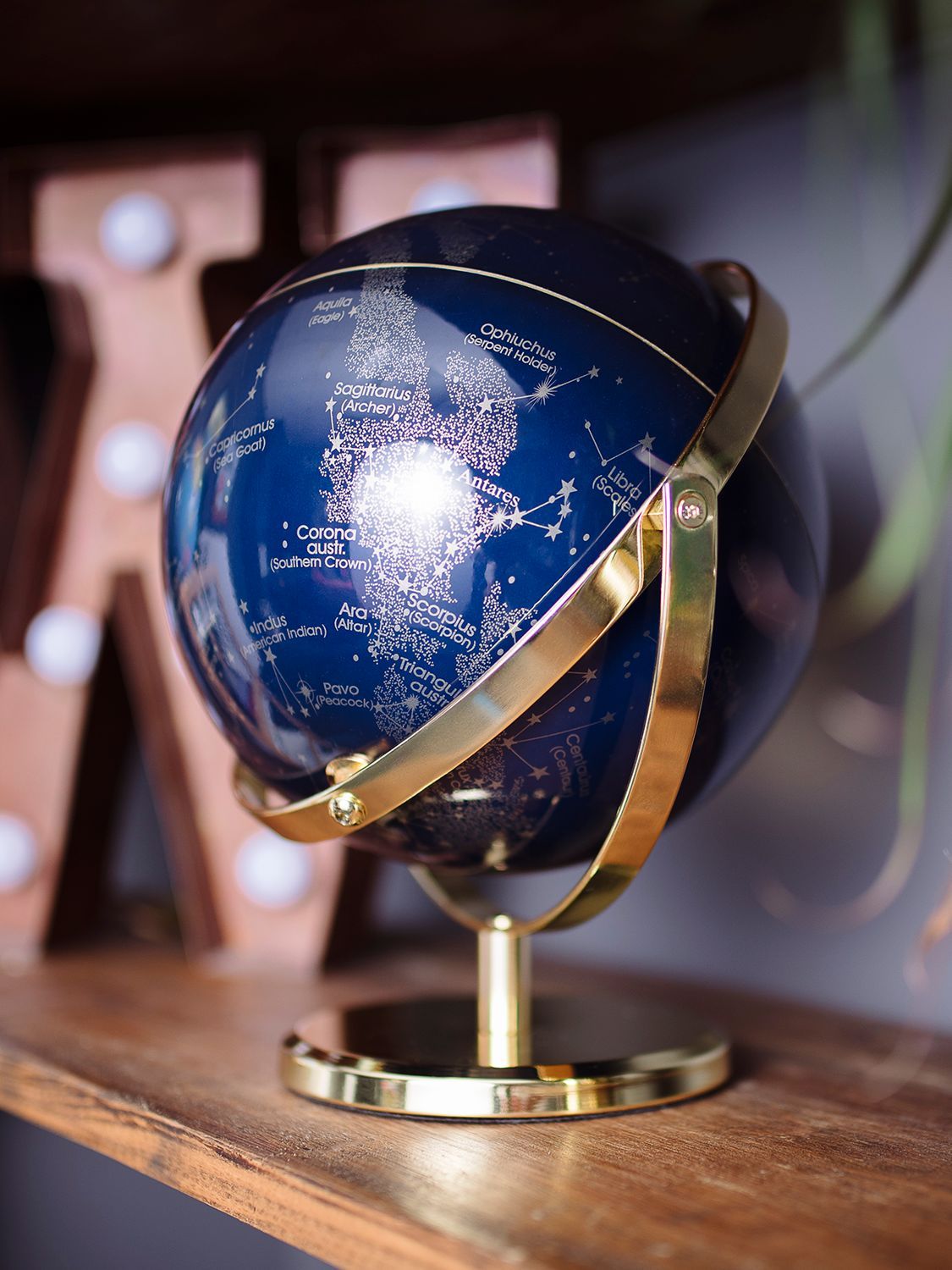 Wild & Wolf Night Sky 8