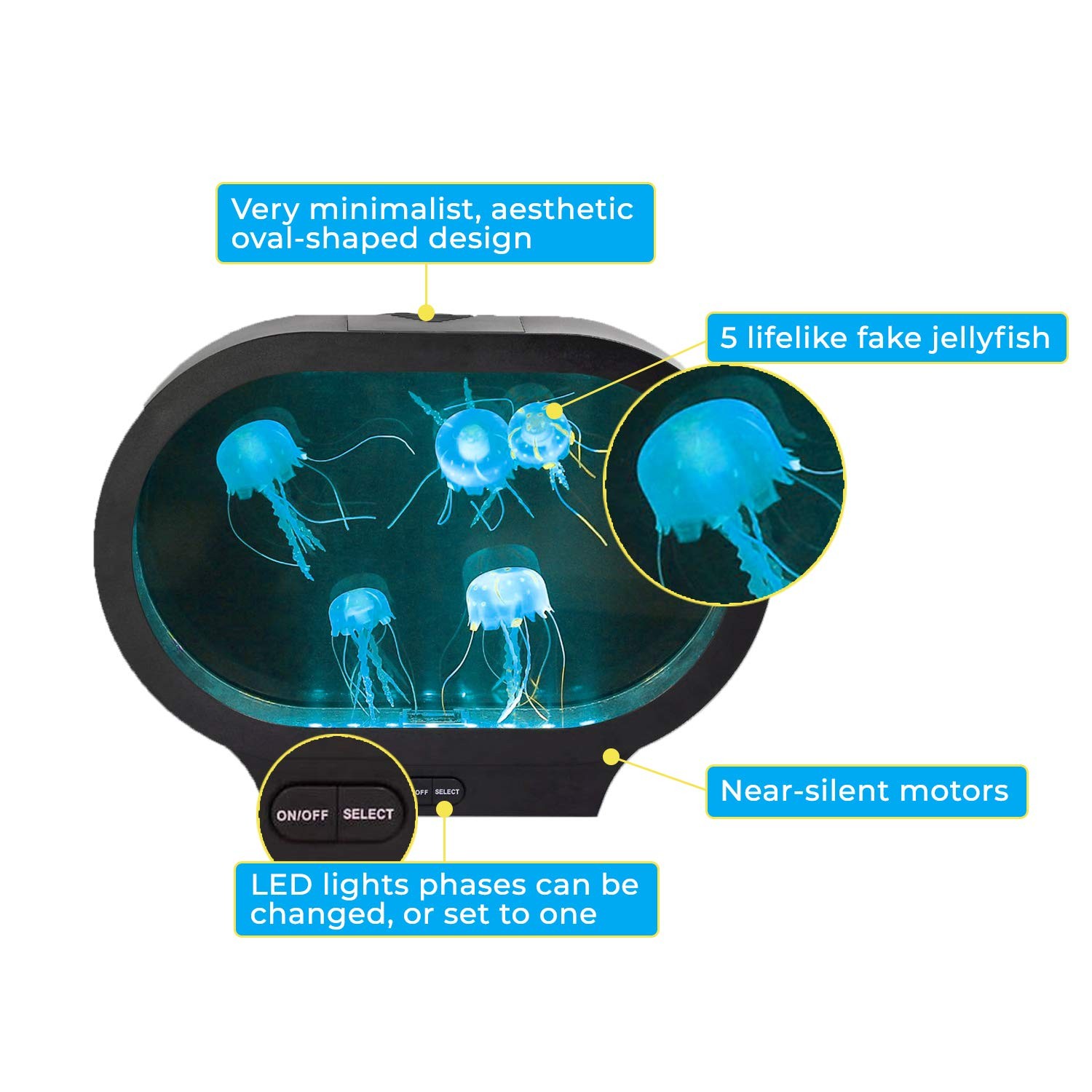 Playlearn Oval Denizanası Akvaryumu