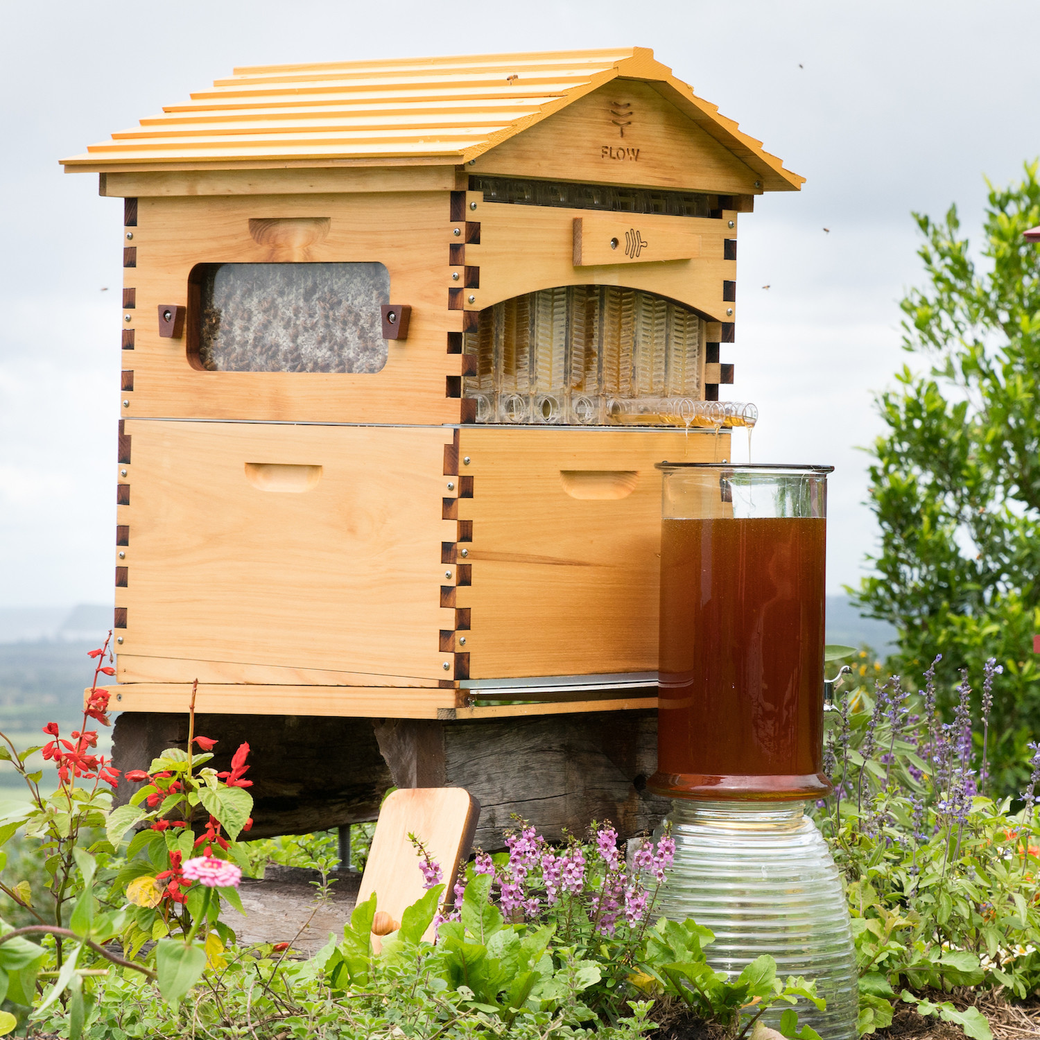 Flow Hive: Doğrudan Arı Kovanından Bal/Flow Hive 2 Araucaria 7 Tablalı