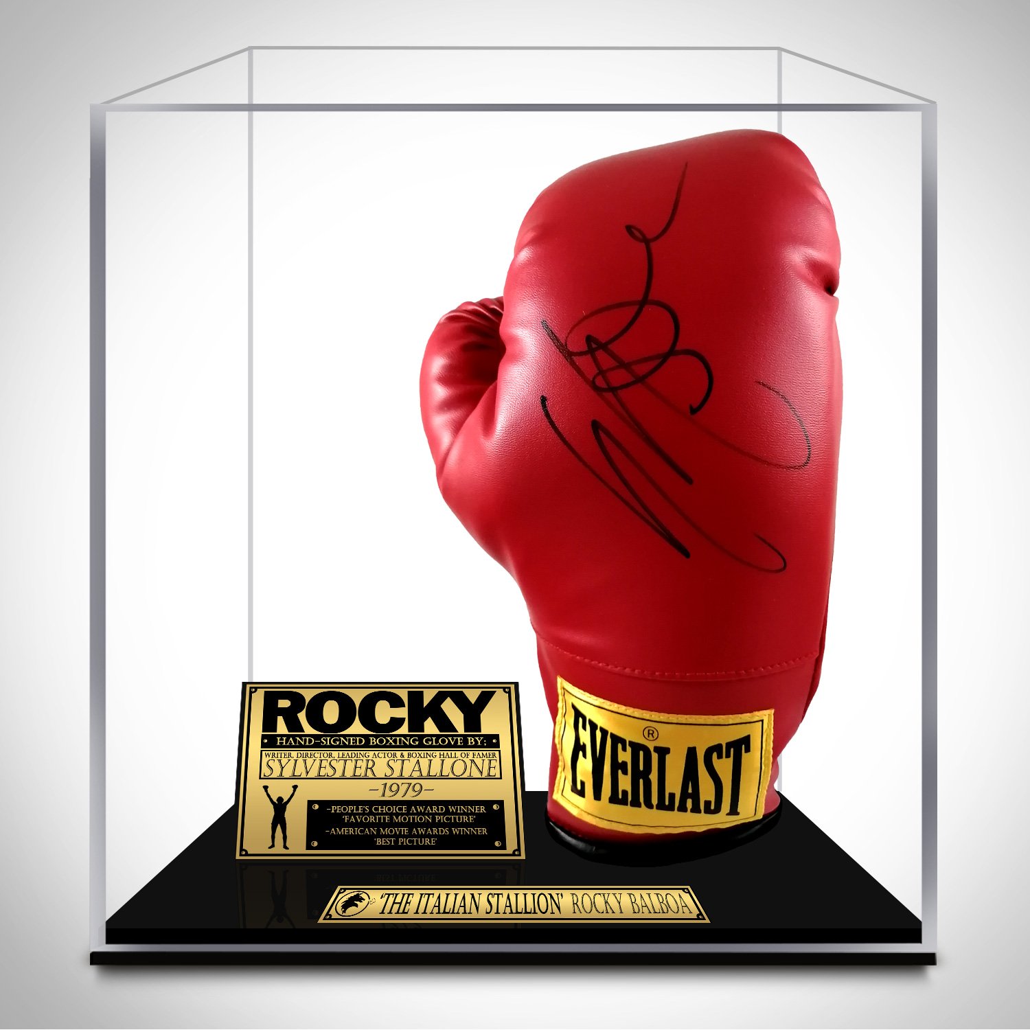 Özel Cam Tablo İçerisinde Sylvester Stallone El İmzalı Rocky JSA Sertifikalı Everlast Eldiven