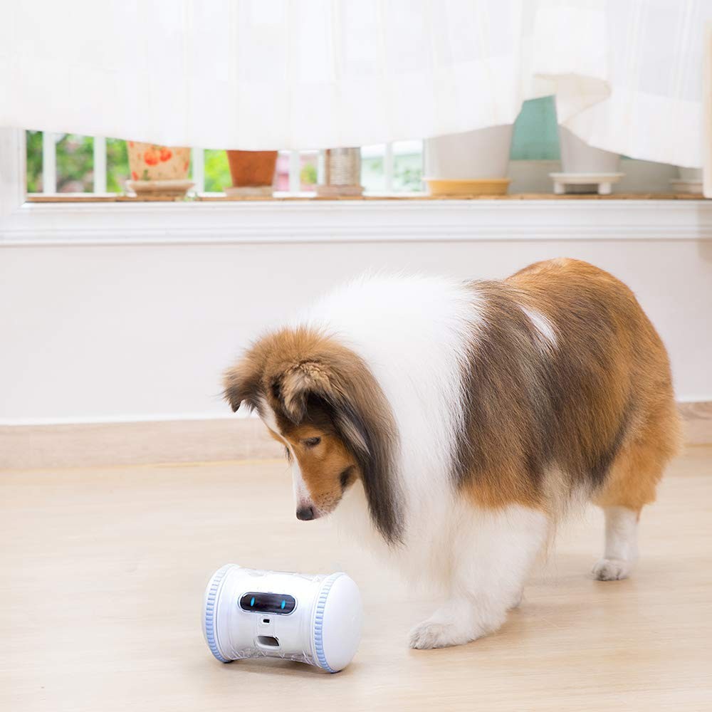 Varram Pet Fitness Robot: Köpekler ve Kediler için Etkileşimli Tedavi Dağıtıcı ve Refakatçi Robotu